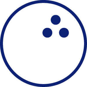 Team Page: The Alley Cats